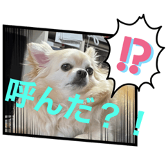 [LINEスタンプ] クラインくんのお話2