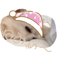 [LINEスタンプ] クラインくんのお話3