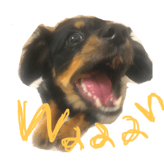 [LINEスタンプ] いつでもつくね