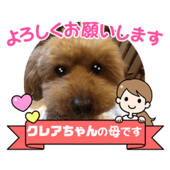 [LINEスタンプ] ショコロン＆フレンズ