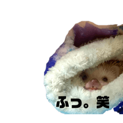 [LINEスタンプ] お気楽様