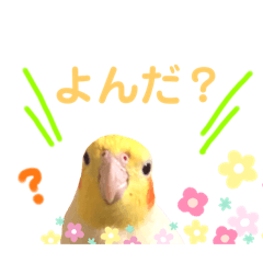 [LINEスタンプ] ひなちゃんのあいづち