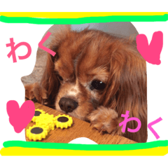 [LINEスタンプ] みーたん❤️Part①