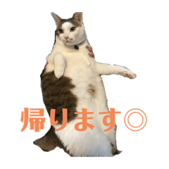 [LINEスタンプ] マロたちでひとこと