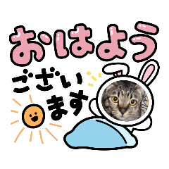[LINEスタンプ] ラプたん