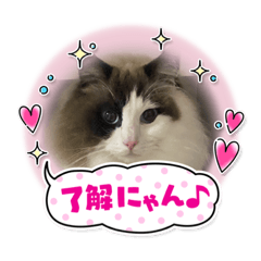 [LINEスタンプ] しらすとマル