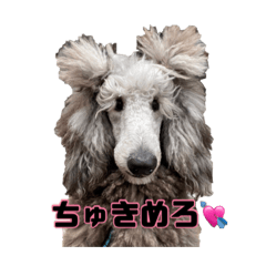 [LINEスタンプ] 4本足の仲間たち❸