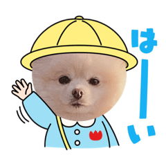 [LINEスタンプ] ポメラニアン-ライス