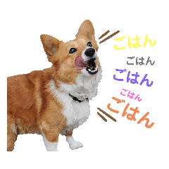 [LINEスタンプ] コーギースタンプ第2弾☆