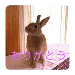 [LINEスタンプ] むぎちゃん！！！！2