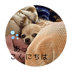 [LINEスタンプ] クラインくんのお話6