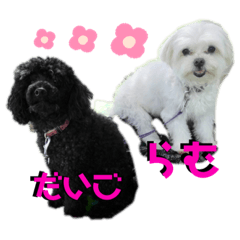 [LINEスタンプ] らむくん＆だいごくん