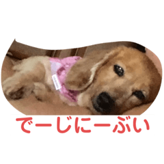 [LINEスタンプ] カイリちゃん2