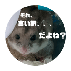 [LINEスタンプ] うにすた-日常編4-