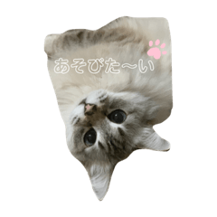 [LINEスタンプ] りさポップ