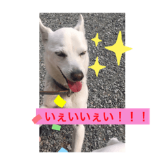 [LINEスタンプ] くのまる