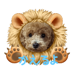 [LINEスタンプ] モカ（トイプードル）
