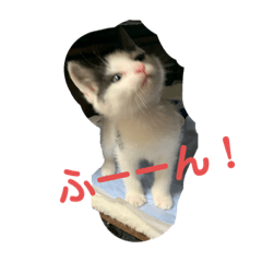 [LINEスタンプ] あずきとしらたま