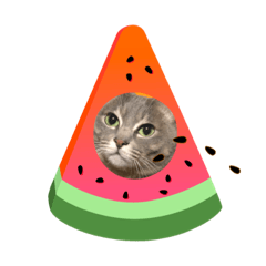 [LINEスタンプ] あいちゃとぽんちゃと時々インプ