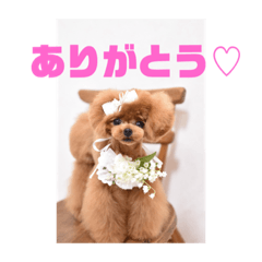 [LINEスタンプ] 25.Hana