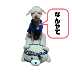 [LINEスタンプ] アイノスタンプ
