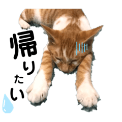 [LINEスタンプ] マッド君オリジナル2