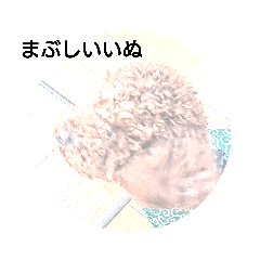 [LINEスタンプ] かつこつスタンプ