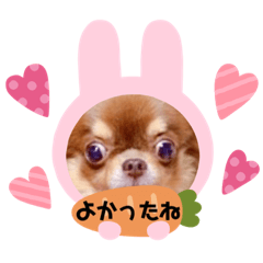 [LINEスタンプ] チワンズ3