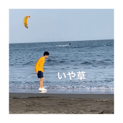 [LINEスタンプ] モリモリギャンギャンひろとザウルスキャパ