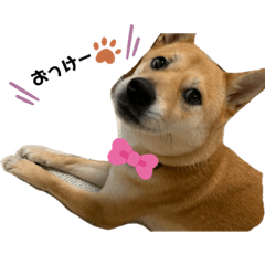 [LINEスタンプ] きゃべちゃん♡