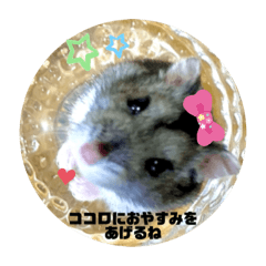 [LINEスタンプ] 豆ちゃん…とお花