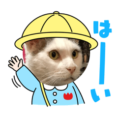 [LINEスタンプ] てんちょと仲間達