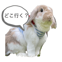 [LINEスタンプ] たれみみうさぎのももまる