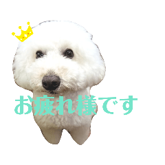 [LINEスタンプ] こもれびわんこ