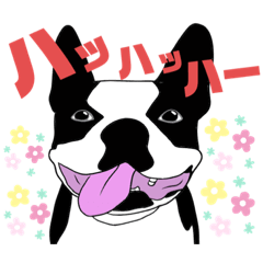 [LINEスタンプ] 私の可愛いしろくろちゃん②