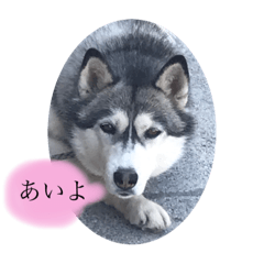 [LINEスタンプ] ぱぷ