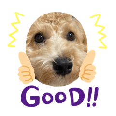 [LINEスタンプ] おはようだじょ