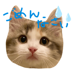 [LINEスタンプ] もみうに