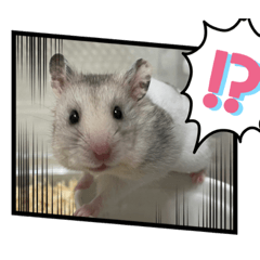 [LINEスタンプ] ハムandラム