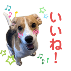 [LINEスタンプ] 〜おかゆとパエリアの日常part2〜
