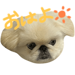 [LINEスタンプ] ももえさん