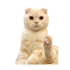 [LINEスタンプ] 猫のしちくん