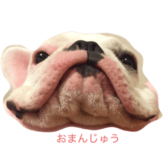 [LINEスタンプ] 荒ぶるフレブル アナベル2