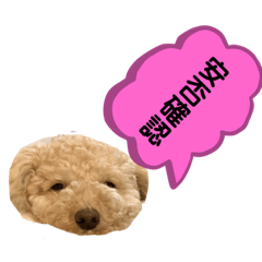 [LINEスタンプ] うちの可愛い姫たちの会話☆