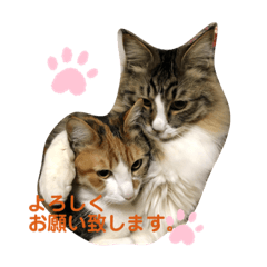 [LINEスタンプ] はじめときなこ。2