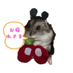 [LINEスタンプ] ハムスターのリュウちゃん2