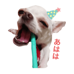 [LINEスタンプ] まるスタンプ///