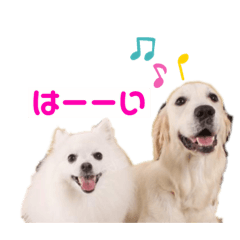 [LINEスタンプ] るび ＆ にっき