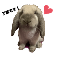 [LINEスタンプ] エリザベスの日常 敬語