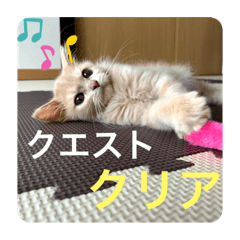 [LINEスタンプ] ウーバー用語 きなこバージョン